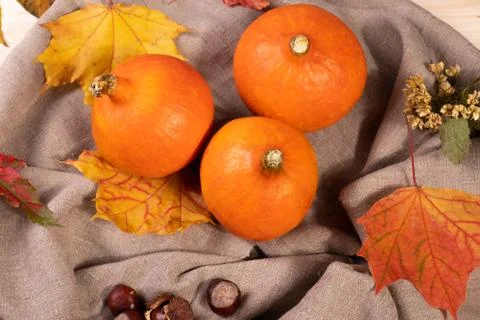 Pumpkins Stock Photos