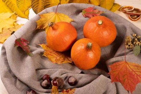 Pumpkins Stock Photos