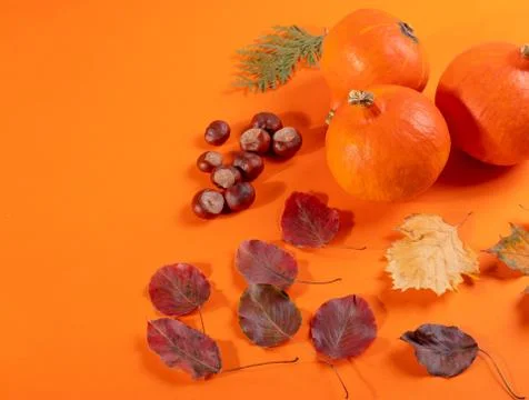 Pumpkins Stock Photos