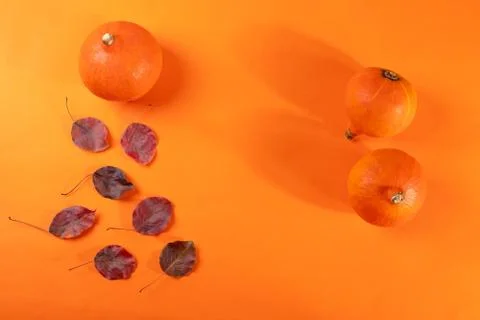 Pumpkins Stock Photos