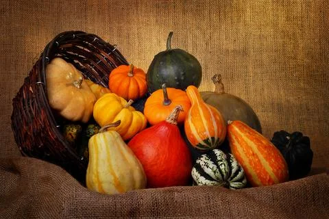 Pumpkins Stock Photos
