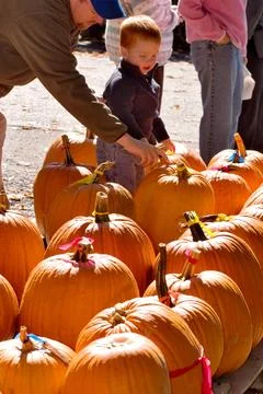 Pumpkins Stock Photos