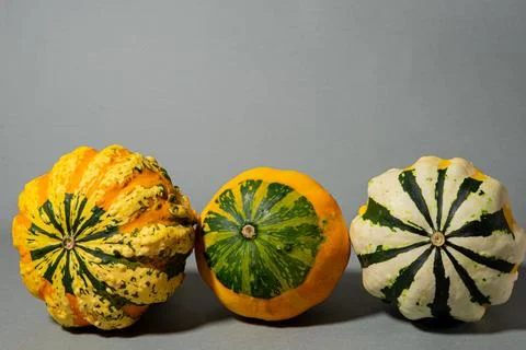 Pumpkins Stock Photos