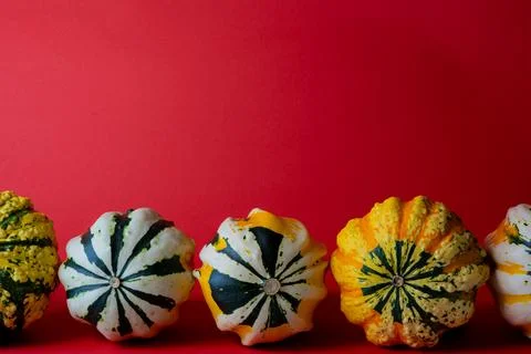 Pumpkins Stock Photos