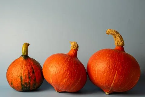 Pumpkins Stock Photos