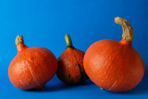 Pumpkins Stock Photos