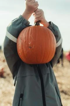 Pumpkins Stock-Fotos