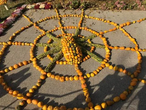 Pumpkins placed in a form Stock Photos