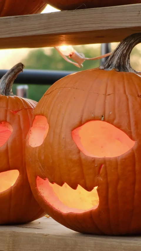 Pumpkins on a pumpkin patch farm autumn fall Halloween festival Video stock 253351558