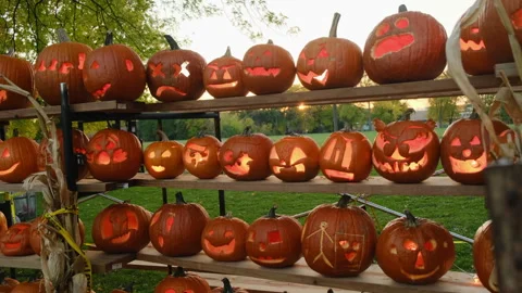 Pumpkins on a pumpkin patch farm autumn fall Halloween festival Video stock 254126227