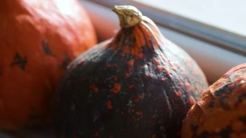 Pumpkins rest in soft window light, forming moody still life Stock Footage 344899666