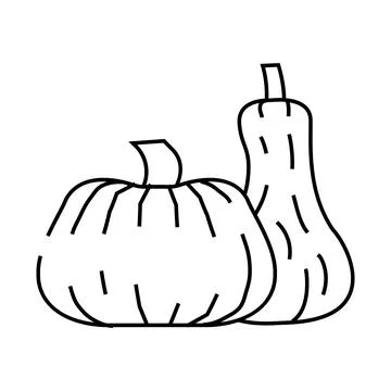 Pumpkins ripe line icon vector illustration Stock Illustration