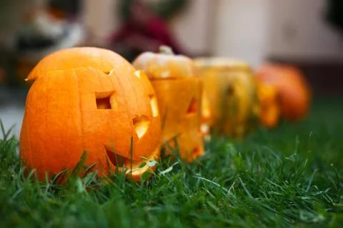 Pumpkins in row Stock Photos
