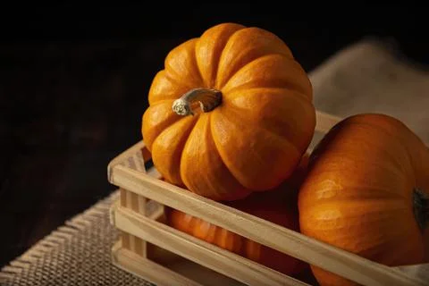 Pumpkins in a rustic box. Pumpkins are widely grown for commercial use and as Foto stock
