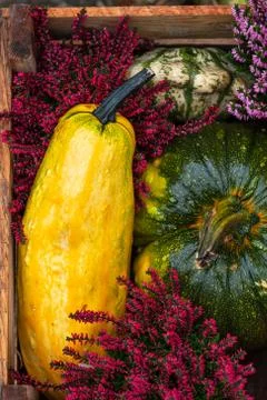 Pumpkins on rustic wooden background. Decor element for Halloween Foto stock