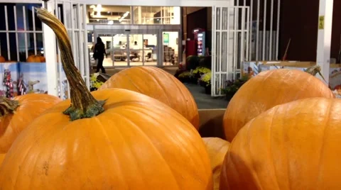 Pumpkins for sale Stock Footage 54051631