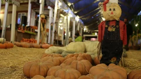 Pumpkins with Scarecrow 库存影片 12285015