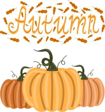 Pumpkins seamless pattern with lettering. Autumn background. Vector. Stock Illustration