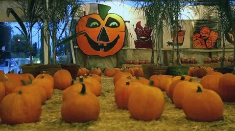 Pumpkins with Sign in Backg 库存影片 12285092