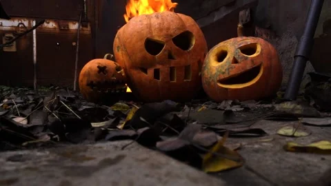Pumpkins in the slums are on fire Видео 220036311