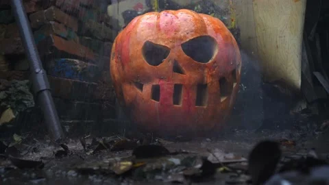 Pumpkins in the slums in the rain Видео 220036452