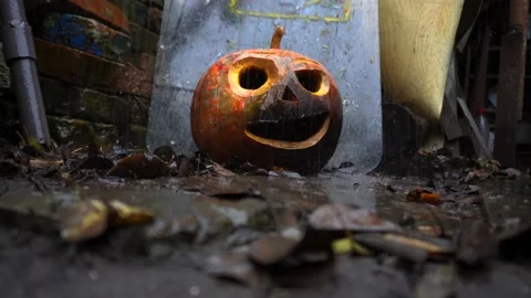 Pumpkins in the slums in the rain Video stock 220036601