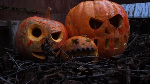 Pumpkins in the slums under red rain Stock-Footage 220036530
