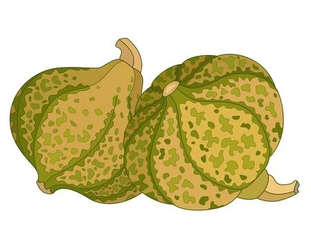 Pumpkins spotted, with cuttings - vector full color picture. Pumpkins with spots Stock Illustration
