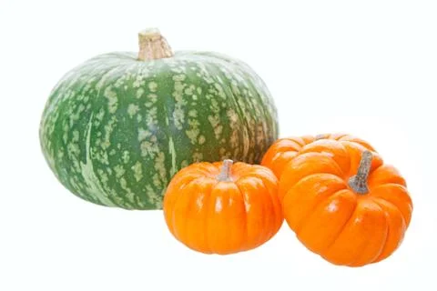 Pumpkins &amp; squash Stock Photos
