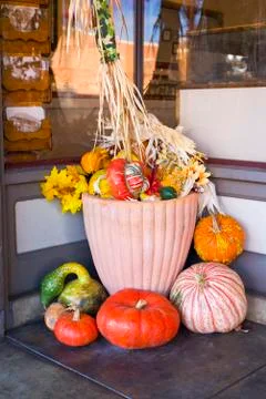 Pumpkins, Squashes, and Gourds Stock Photos