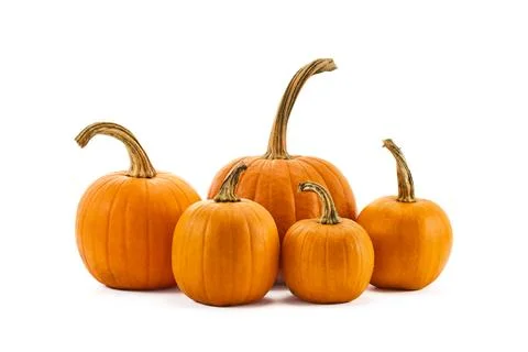 Pumpkins with stems on a white background, showcasing autumn harvest atmosphere. Stock Photos