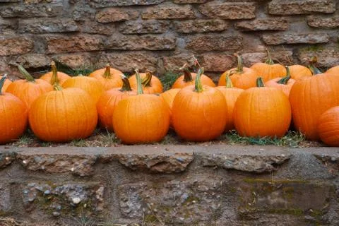 Pumpkins stone wall Stock Photos