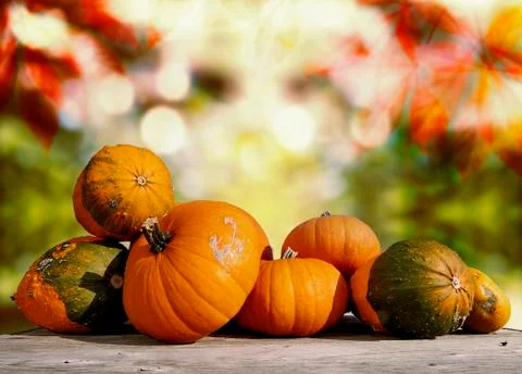 Pumpkins on a table with autumn background Stock Photos