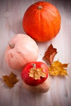 Pumpkins on the table Stock Photos