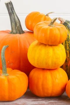 Pumpkins on table Stock Photos