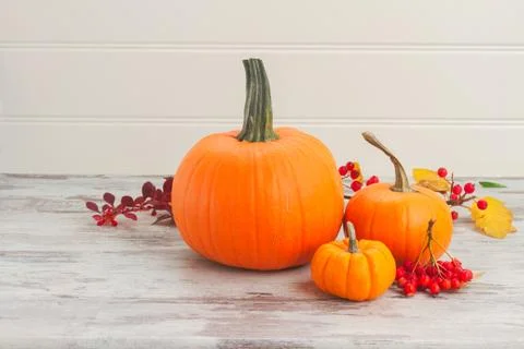 Pumpkins on table Stock Photos
