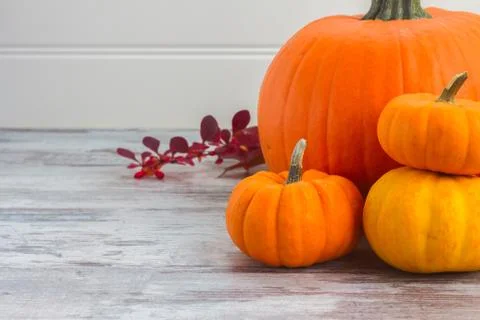 Pumpkins on table Stock Photos