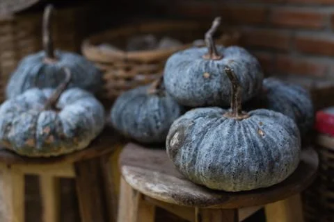 Pumpkins on the table Stock Photos