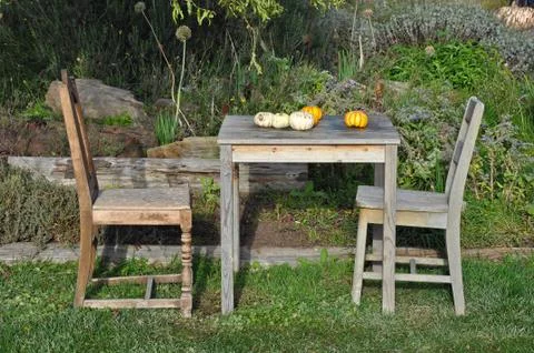 Pumpkins on table Foto stock