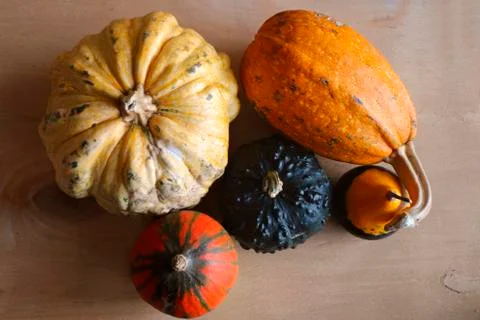 Pumpkins on the table Foto stock