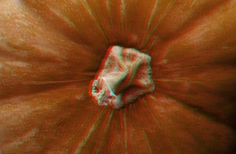 Pumpkins texture. 3D Stock Photos
