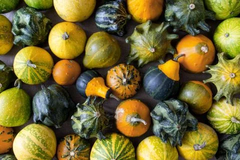 Pumpkins texture -  autumn decorative background Stock Photos