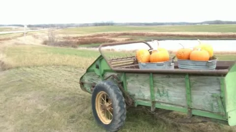 Pumpkins-in-trailor-on-farm 스톡 동영상 12611601