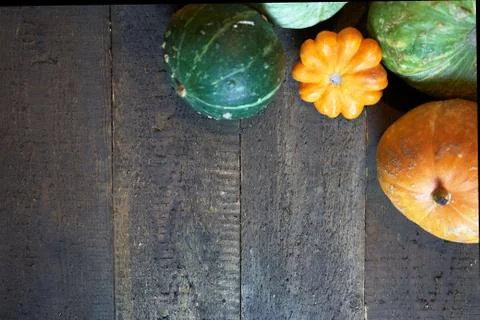 Pumpkins on a tree background Stock Photos