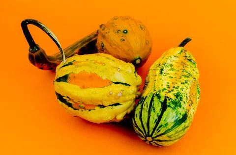 Pumpkins of an unusual shape on orange background flatlay Foto stock