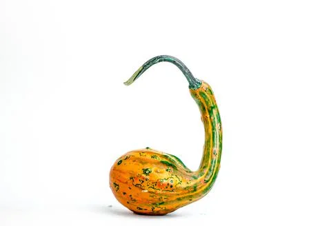 Pumpkins of an unusual shape on a white background Stock Photos