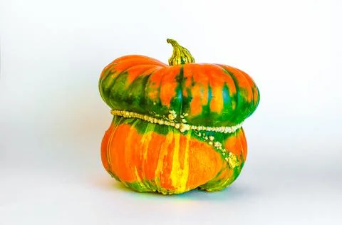 Pumpkins of an unusual shape on a white background Stock Photos