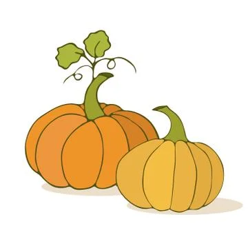 Pumpkins vector illustration. Cartoon style. Autumn vegetables. Illustration