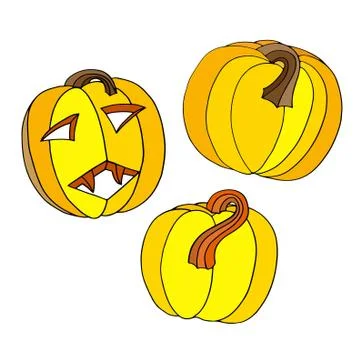Pumpkins vector illustration 스톡 일러스트