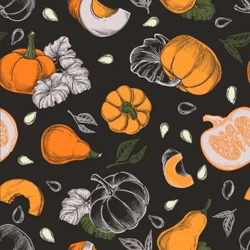 Pumpkins vector seamless pattern. Sketch hand drawn illustration. Autumn gour Stock Illustration